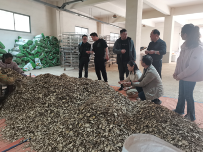 校企合作推動生態環境材料銷售的發展與創新