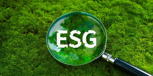 上半年我國生態(tài)環(huán)境質(zhì)量持續(xù)改善，環(huán)保材料市場迎來發(fā)展新機(jī)遇