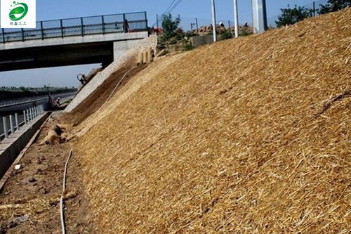 白銀市延鑫直銷 生態(tài)毯護(hù)坡發(fā)貨快，廠家直銷助力綠色建設(shè)